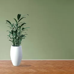 PROVISTON | Quart De Rond | 12 X 12 X 2000 Mm | Bois Massif | Abachi Blanc | Contreplinthe 9 PROVISTON | Quart De Rond | 12 X 12 X 2000 Mm | Bois Massif | Abachi Blanc | Contreplinthe -Décoratif Soldes 12 19 6 scaled