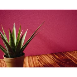 A.S. Creation Meistervlies | 306616 | Papier Peint Intissé Enduit | 0.53 M X 10.05 M | Blanc 10 A.S. Creation Meistervlies | 306616 | Papier Peint Intissé Enduit | 0.53 M X 10.05 M | Blanc -Décoratif Soldes 306616 4