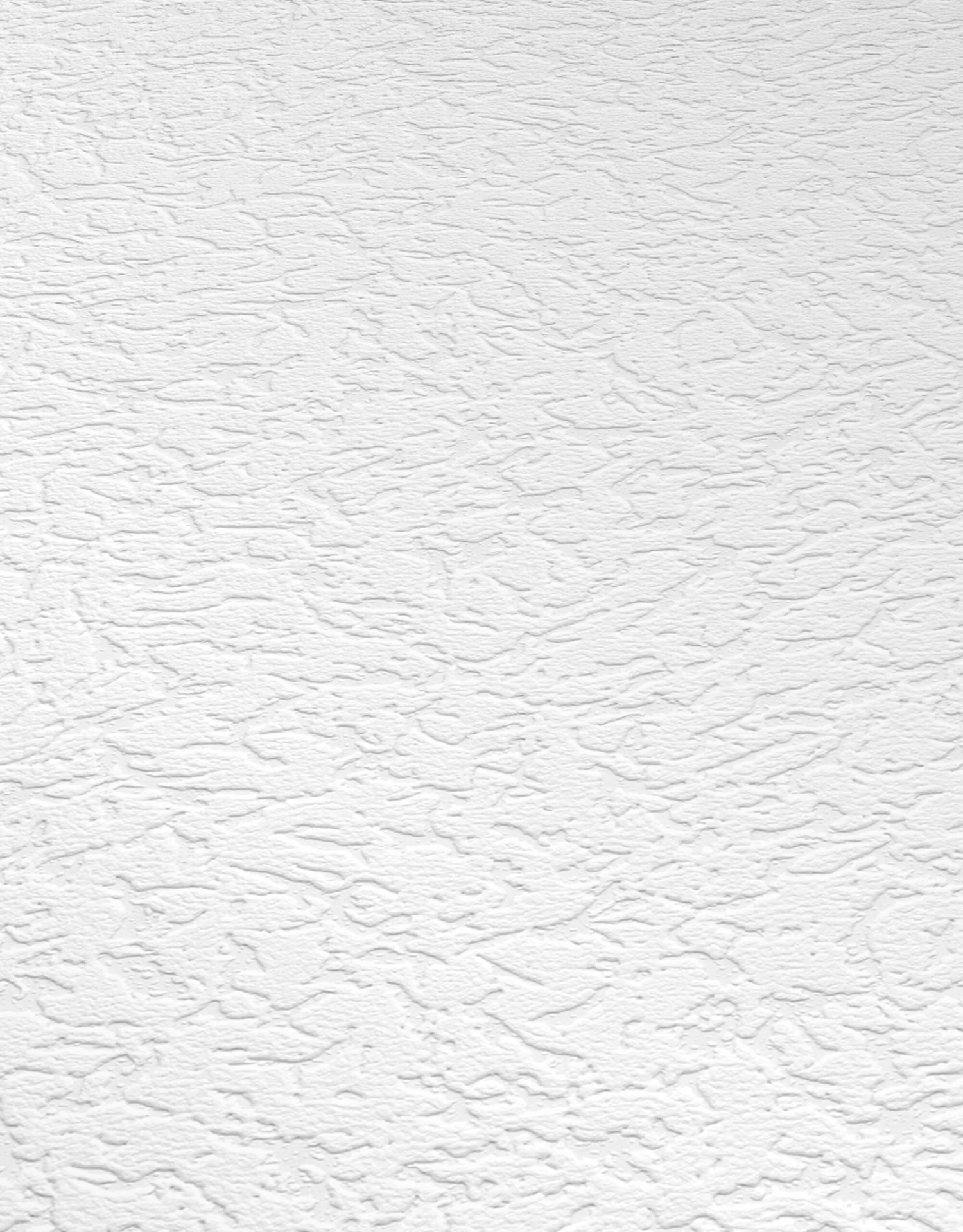 Erismann RollOver 2021 | 535610 | Papier Peint Intissé Enduit | 0.53 M X 10.05 M | Blanc 1 Erismann RollOver 2021 | 535610 | Papier Peint Intissé Enduit | 0.53 M X 10.05 M | Blanc