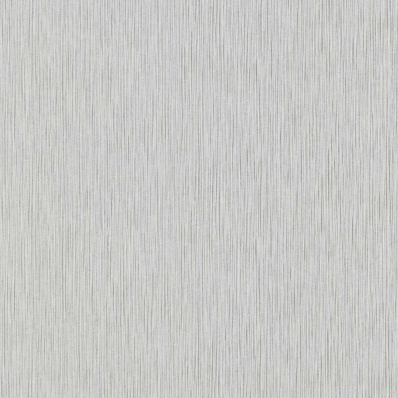 Erismann Summer Beat | 5424-10 | Papier Peint Intissé Uni | 0.53 M X 10.05 M | Gris 1 Erismann Summer Beat | 5424-10 | Papier Peint Intissé Uni | 0.53 M X 10.05 M | Gris