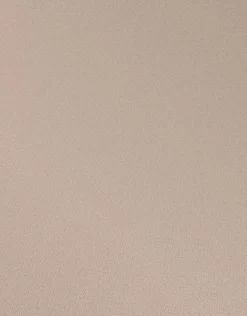 Erismann Palais Royal | 6381-11 | Papier Peint Intissé Uni | 0.53 M X 10.05 M | Marron -Décoratif Soldes 6381 11 3