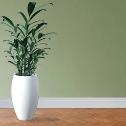 PROVISTON | Plinthe Moulurée | 19 X 80mm | Mélaminé | Plinthe MDF | Moderne -Décoratif Soldes 6kDQ90F2sIQOqW scaled