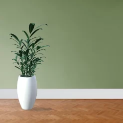 PROVISTON | Plinthe | Plinthe Moulurée | 16 X 100 X 2500 Mm | MDF Mélaminé | Blanc | Classique -Décoratif Soldes 719 16100 6 1 scaled