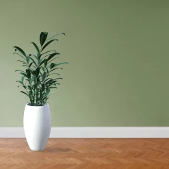 PROVISTON | Plinthe | Plinthe Moulurée | 16 X 80 X 2500 Mm | MDF Mélaminé | Blanc 11 PROVISTON | Plinthe | Plinthe Moulurée | 16 X 80 X 2500 Mm | MDF Mélaminé | Blanc -Décoratif Soldes 719 1678 6 scaled