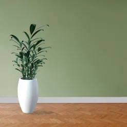 PROVISTON | MDF Mélaminé | Plinthe Moulurée | 16 X 80mm | Plinthe Blanche 14 PROVISTON | MDF Mélaminé | Plinthe Moulurée | 16 X 80mm | Plinthe Blanche -Décoratif Soldes KO018 6 scaled