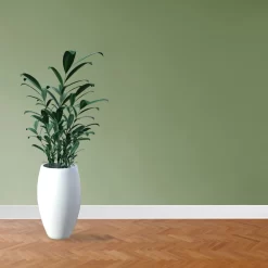 PVC | Plinthe | Mousse Rigide | Plinthe | Monopoli | 60 X 12 Mm | Grainé| Couleurs Diff. -Décoratif Soldes Monopoli weiss rau 6 scaled